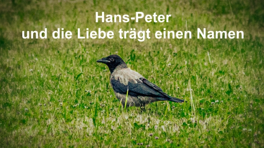 Hans-Peter und die Liebe trägt einen Namen